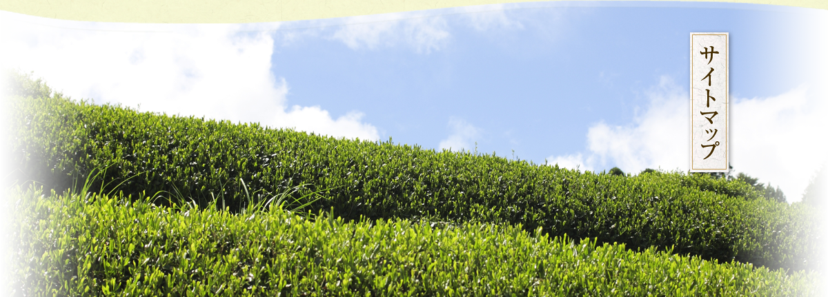 サイトマップ