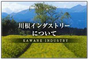 川根インダストリーについて