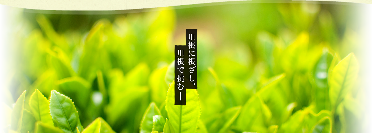 川根に根差し、川根で挑む