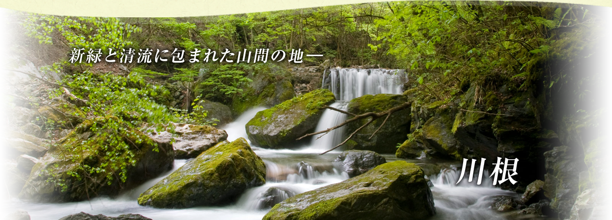 新緑と清流に包まれた山間の地、川根